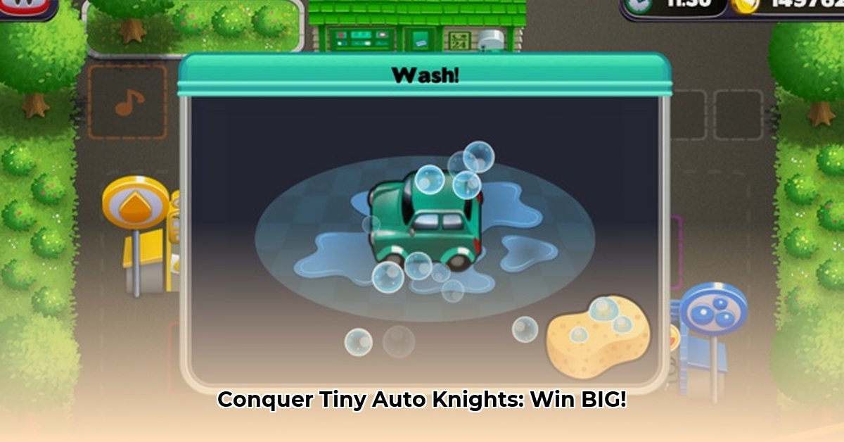 tiny-auto